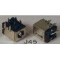 Conector D.C Portatil DC-J45