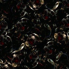 Film hidroimpresion HM-141A